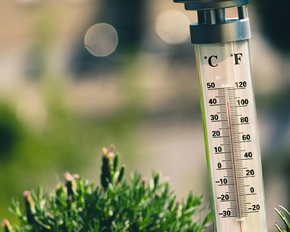 Fahrenheit Parfém