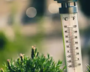 Fahrenheit Parfém